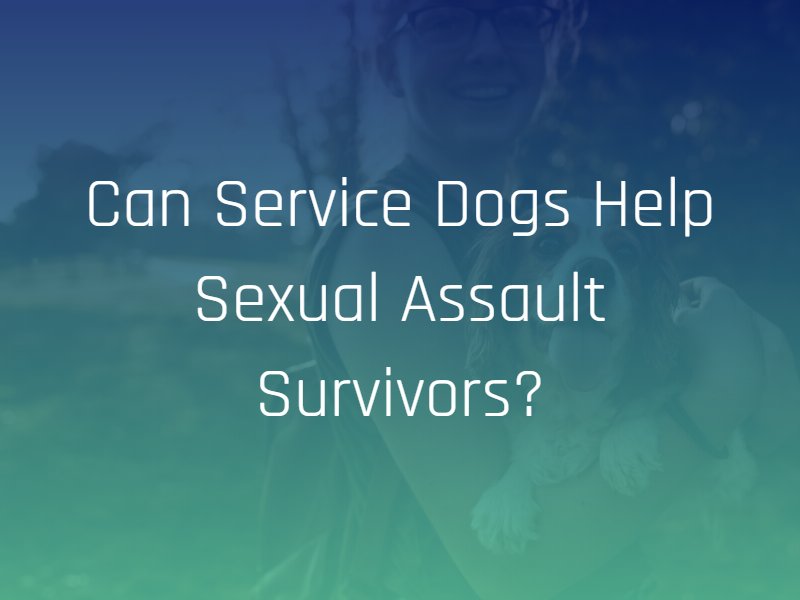 service dogs sexual assault